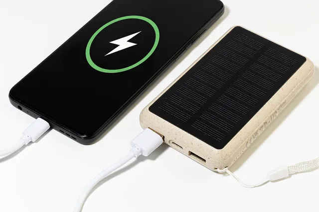 Power bank – Surum, natúr