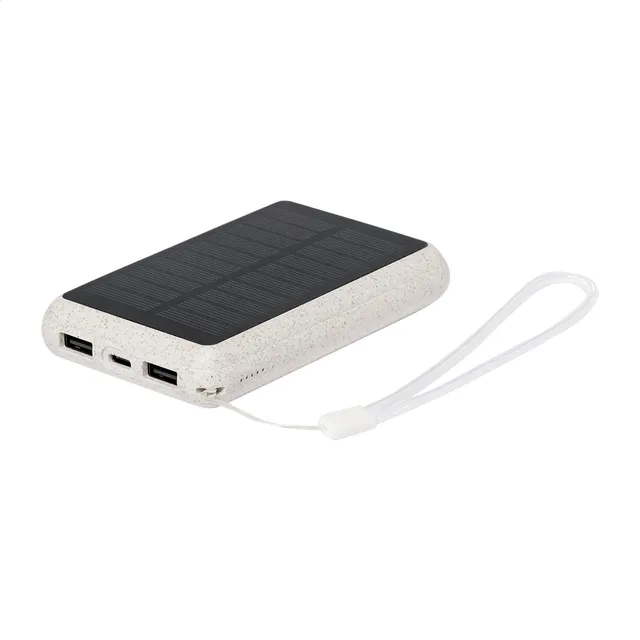 Power bank – Surum, natúr